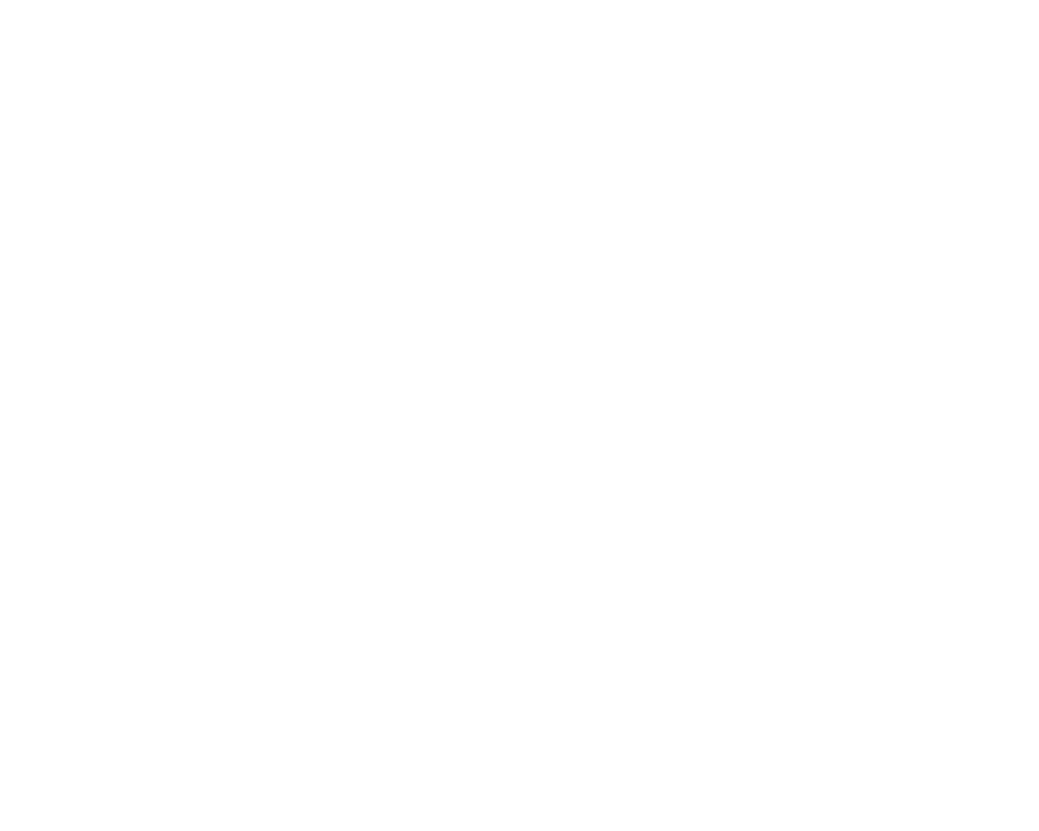 Sora — SORA LOGO-white (no tagline)